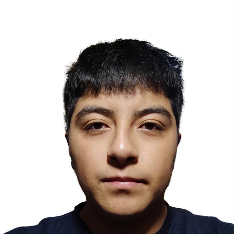 User Image