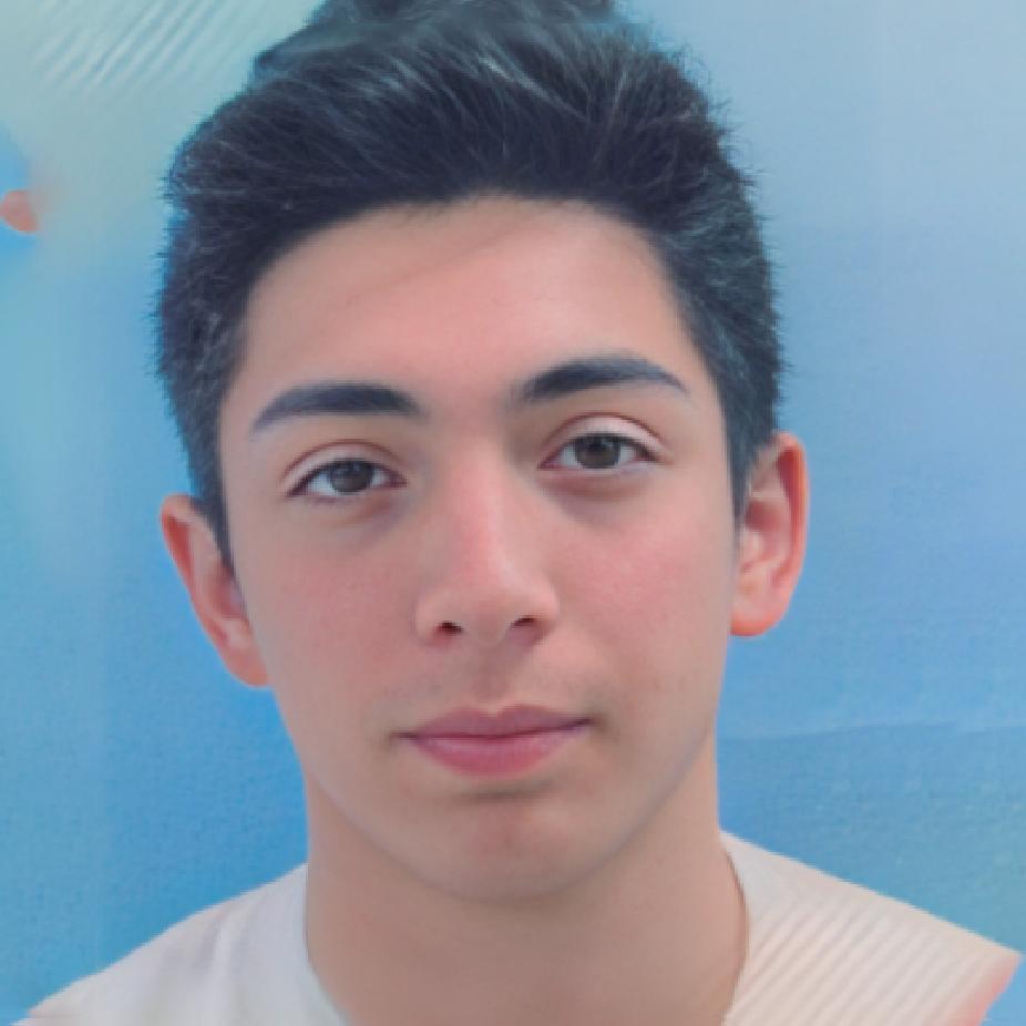 User Image